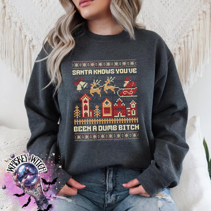 Santa Knows You’ve Been a Dumb B Christmas Shirt | Funny Ugly Sweater Sweatshirt | Adult Holiday Humor Tee | present and gift ideas